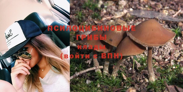 твердый Абинск