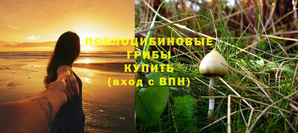 метадон Алзамай