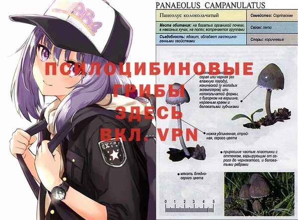 твердый Абинск