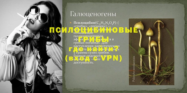 твердый Абинск