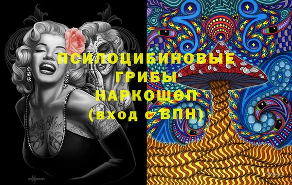 МДПВ Алексин