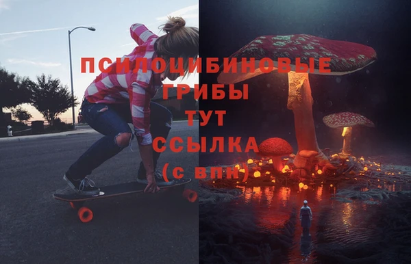 МДПВ Алексин