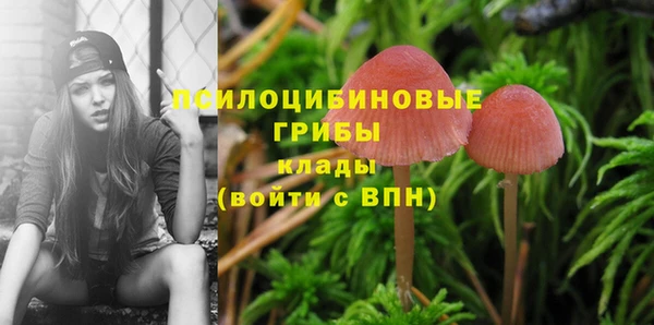 метадон Алзамай