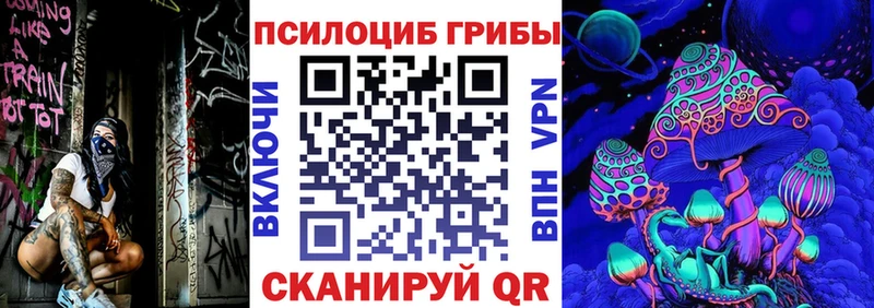 закладка  Тула  Псилоцибиновые грибы Cubensis 