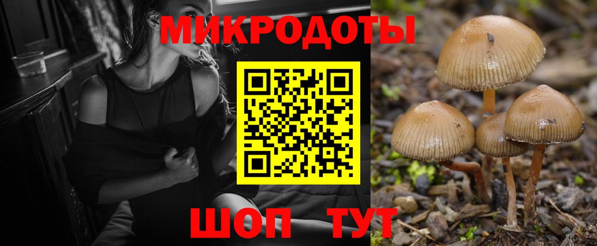 Галлюциногенные грибы мицелий Тула